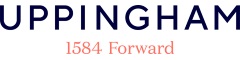 Domestic Cleaner Logo